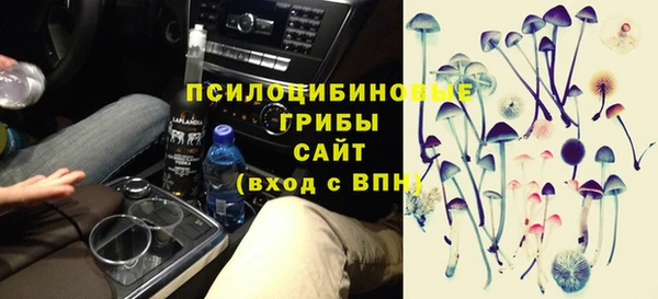 амф Абинск